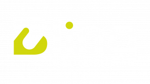 Logo-de-Bling-blanco-transparente